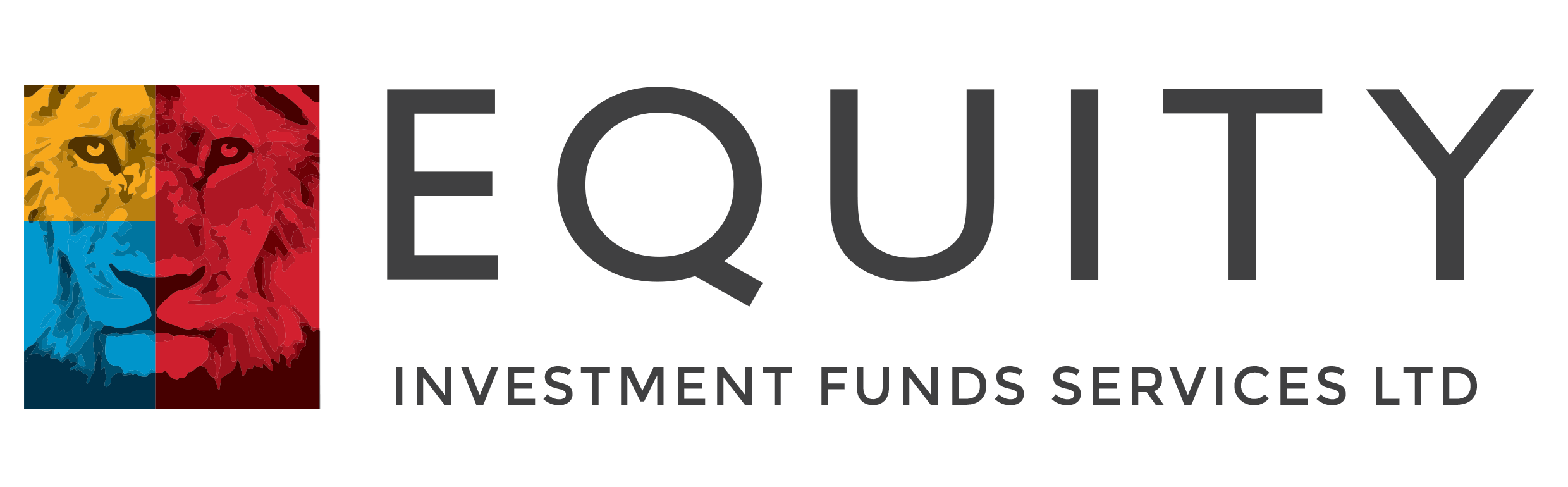Equity Investment Funds